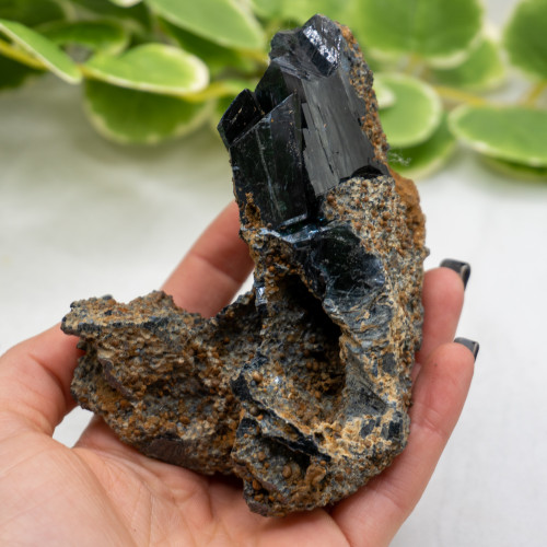 Vivianite XL Raw #13