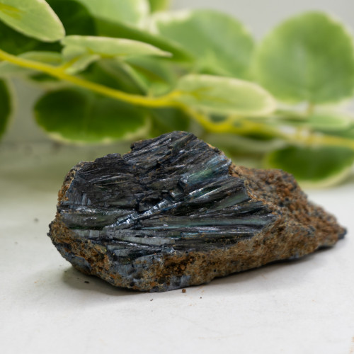 Vivianite XL Raw #8