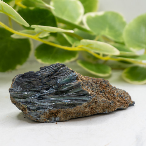 Vivianite XL Raw #8