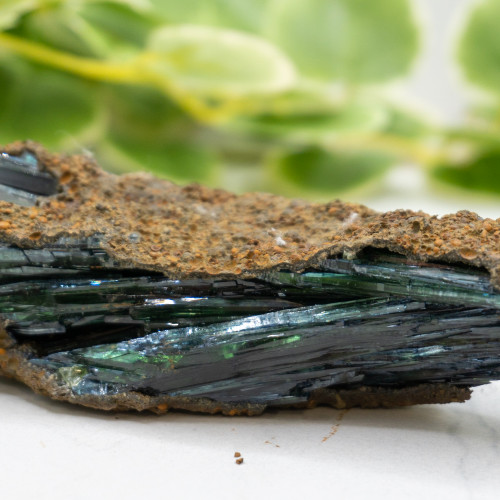 Vivianite XL Raw #5