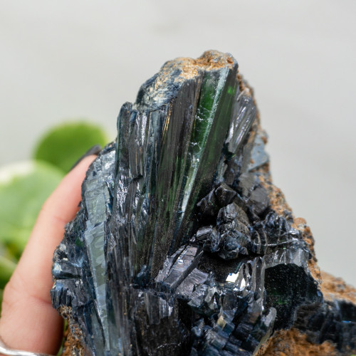 Vivianite XL Raw #3