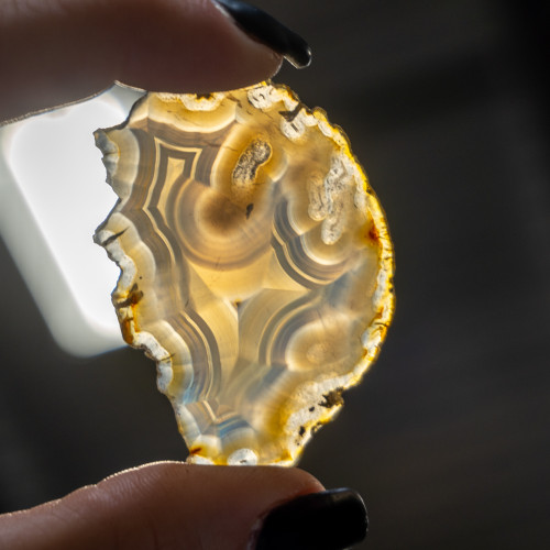 Iris Agate Slice #2