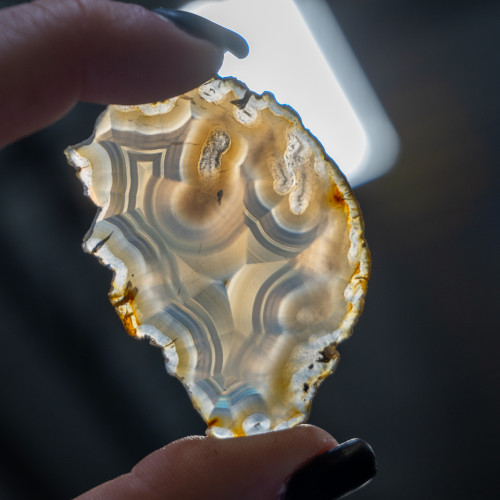 Iris Agate Slice #2