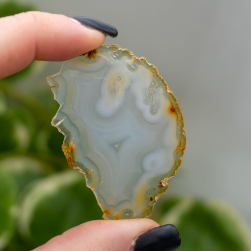 Iris Agate Slice #2