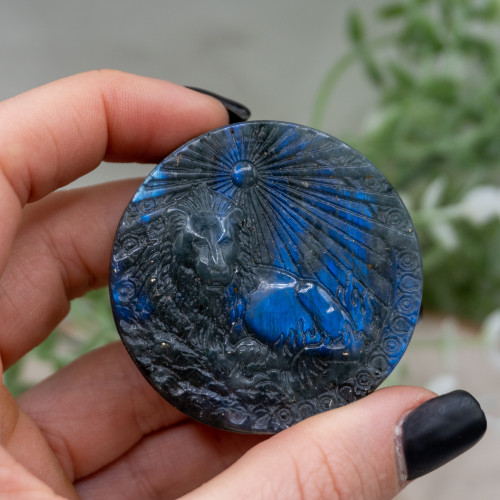 Leo Labradorite Zodiac Coin #2