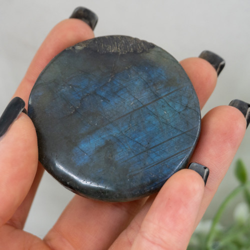 Leo Labradorite Zodiac Coin #1