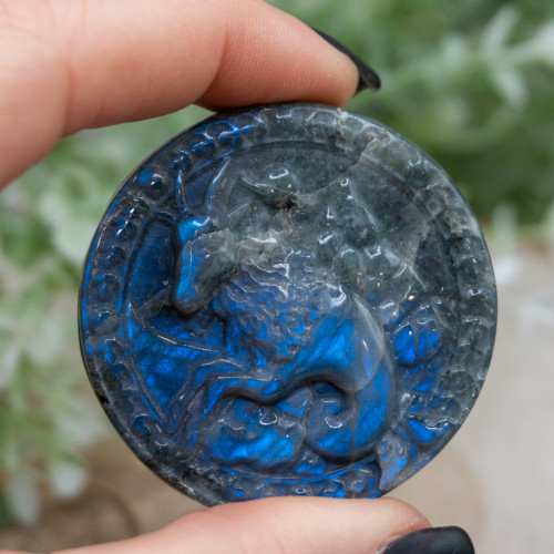 Capricorn Labradorite Coin #3