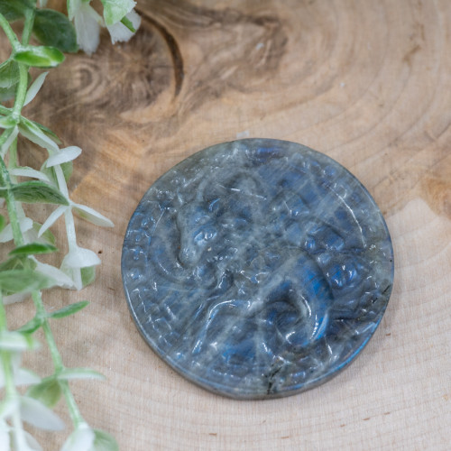 Capricorn Labradorite Coin #1