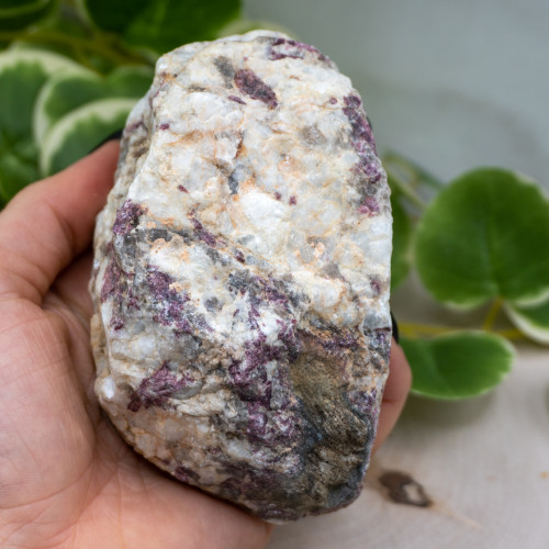 Pink Tourmaline in Quartz #1