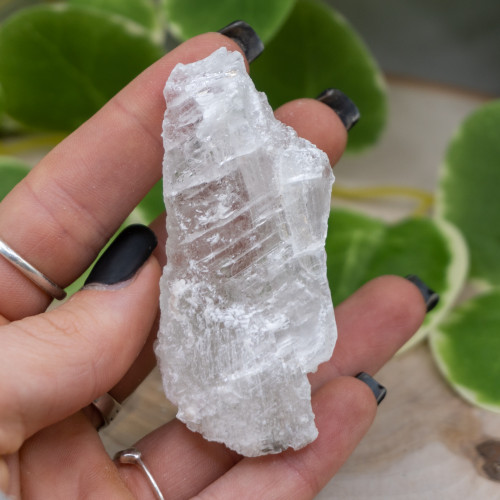 Raw Selenite #4