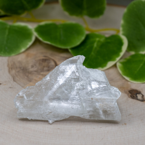 Raw Selenite #3