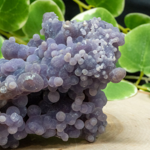Grape Agate XL #1