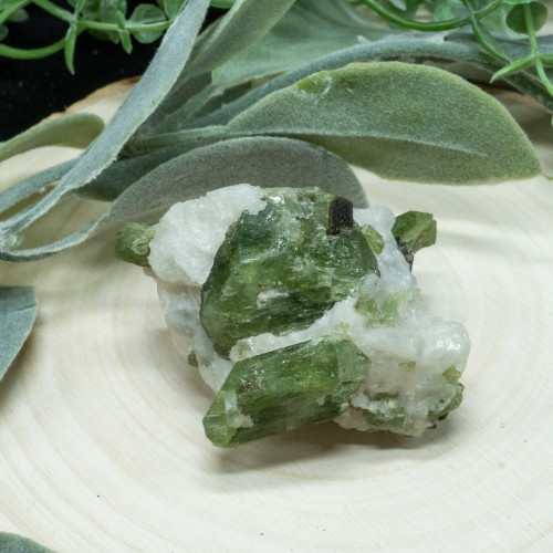 Diopside in Quartz #8