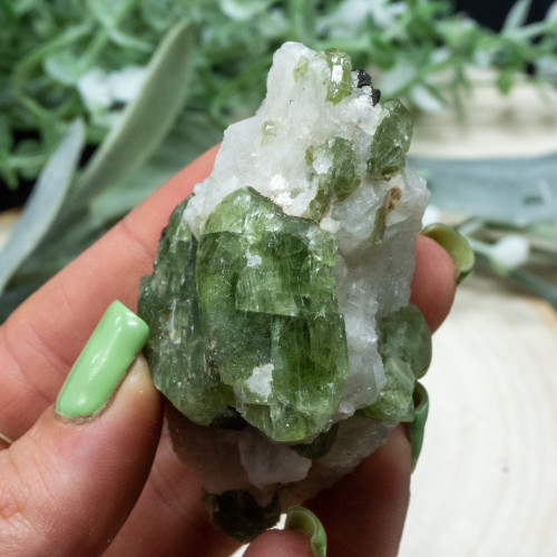 Diopside in Quartz #8