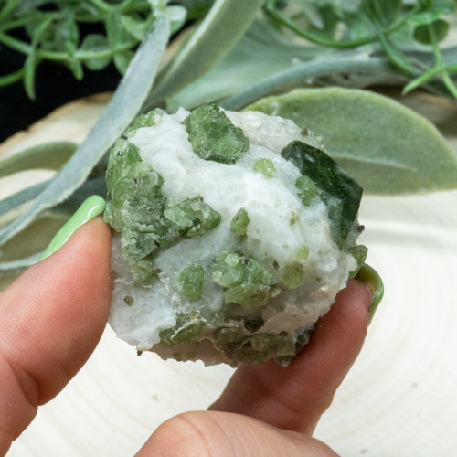 Diopside in Quartz #7