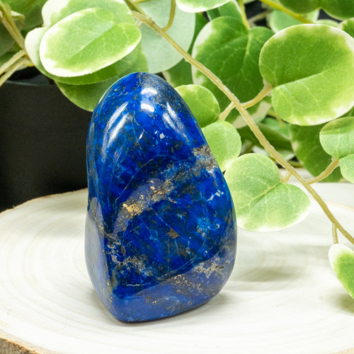 Lapis Lazuli Free Form #5