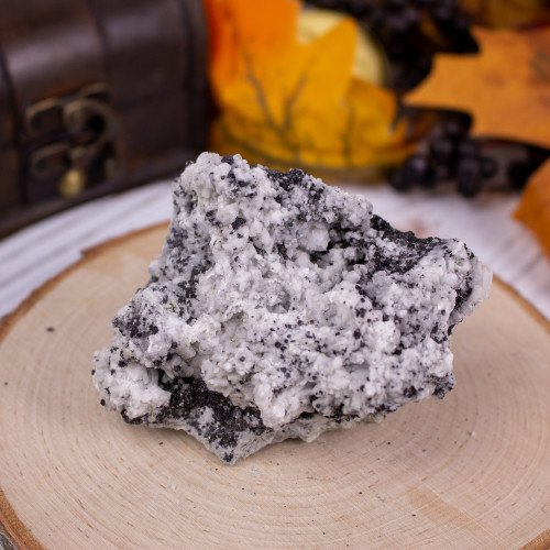 Magnetite in Dolomite #4