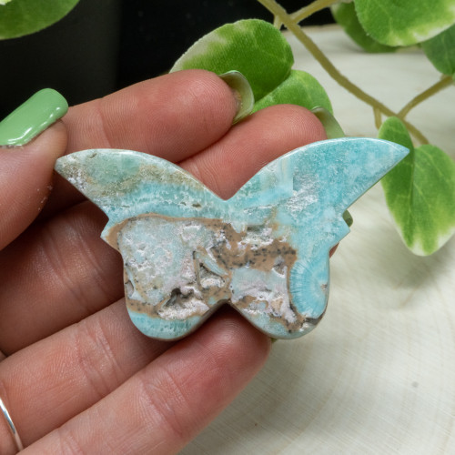 Caribbean Blue Calcite Butterfly #3