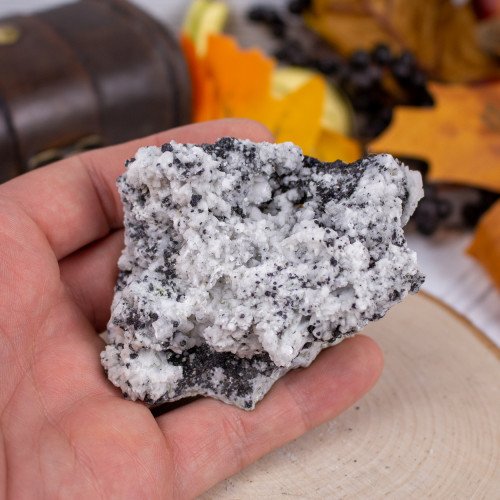 Magnetite in Dolomite #4