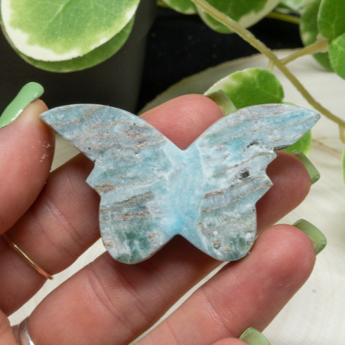 Caribbean Blue Calcite Butterfly #2