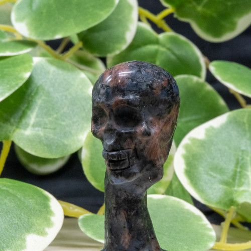 Que Sera(Galaxy Rhyolite) Skull-Hand Pillar Random