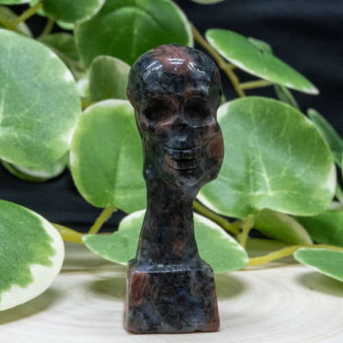 Que Sera(Galaxy Rhyolite) Skull-Hand Pillar Random