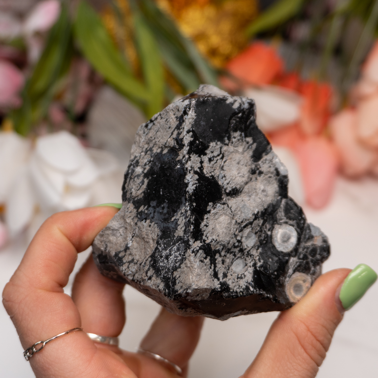 Snowflake Obsidian Medium Raw #1 - The Crystal Council