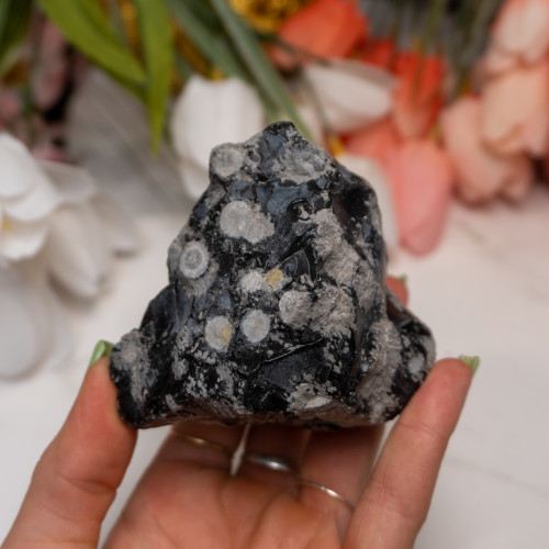 Snowflake Obsidian Medium Raw #1