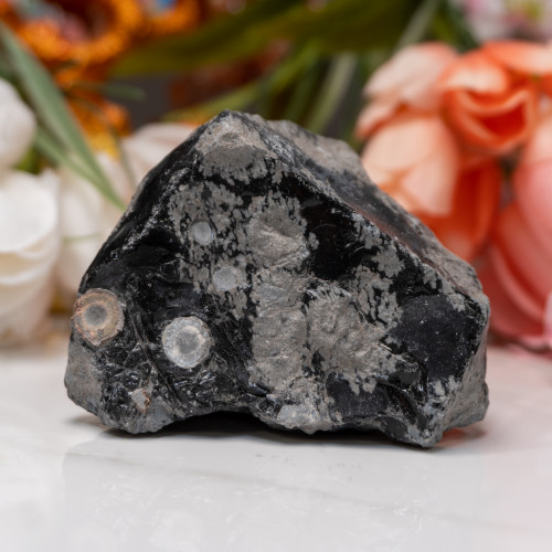 Snowflake Obsidian Medium Raw #1