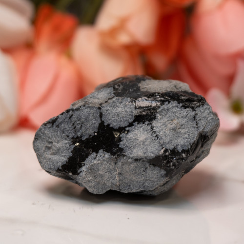 Snowflake Obsidian Raw #3