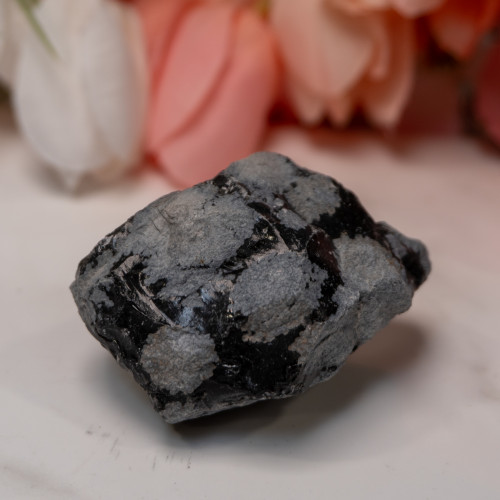 Snowflake Obsidian Raw #3