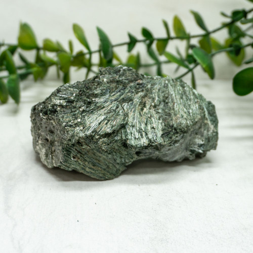 Actinolite #10