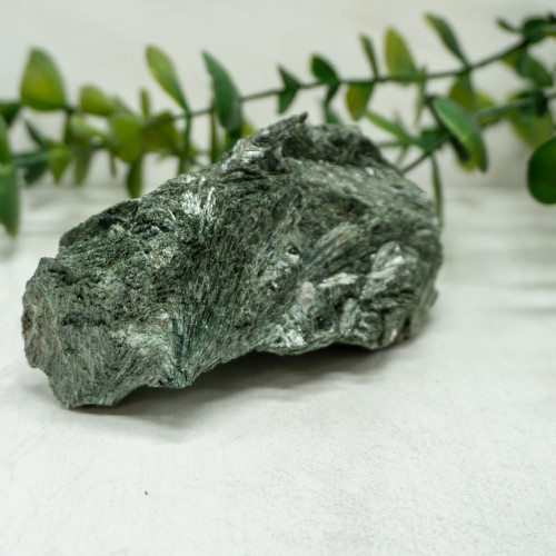 Actinolite #10