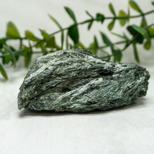 Actinolite #6