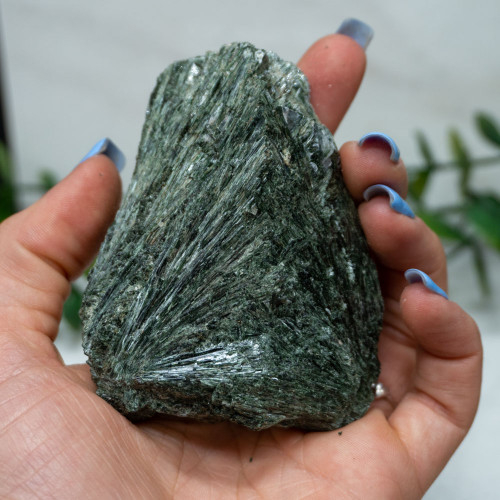 Actinolite #5