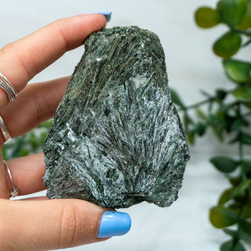 Actinolite #5