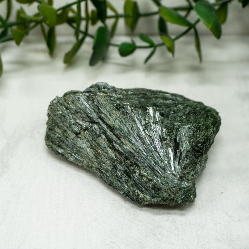 Actinolite #5