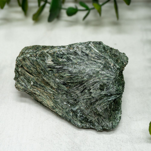 Actinolite #5