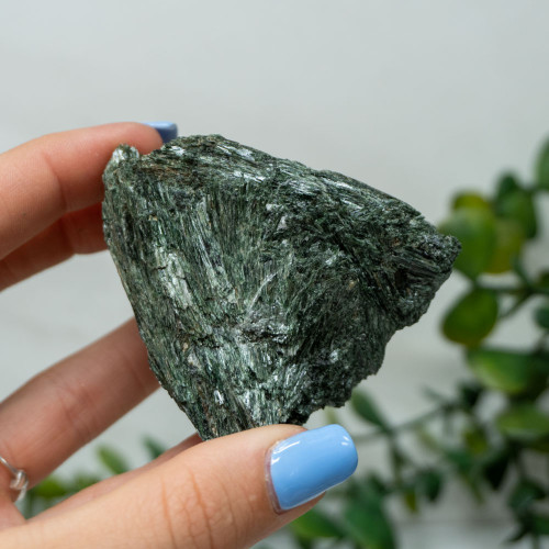 Actinolite #4