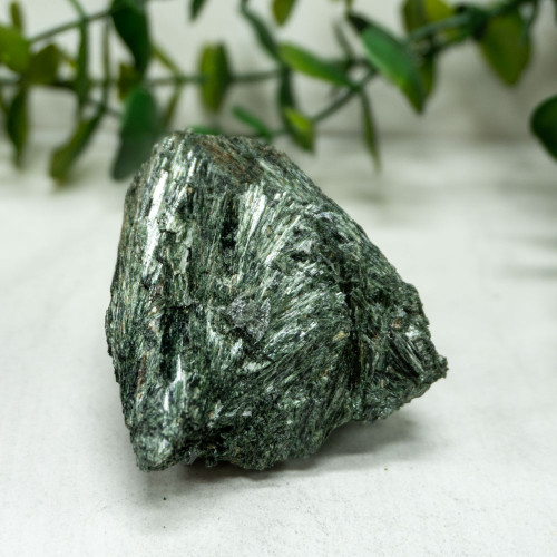 Actinolite #4