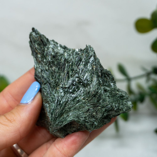 Actinolite #2