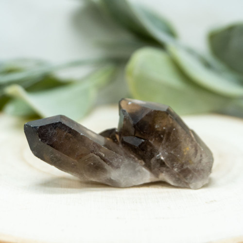 Smoky Quartz Cluster #6