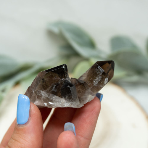 Smoky Quartz Cluster #6