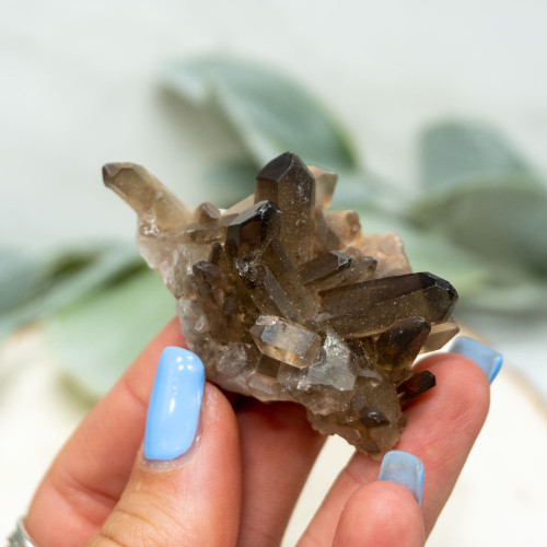 Smoky Quartz Cluster #5