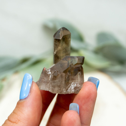 Smoky Quartz Cluster #4