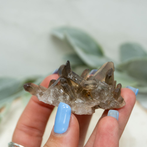 Smoky Quartz Cluster #5