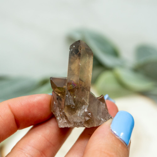 Smoky Quartz Cluster #4