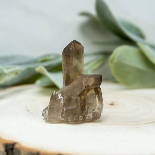 Smoky Quartz Cluster #4