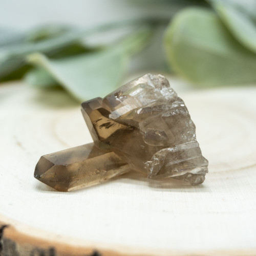 Smoky Quartz Cluster #4