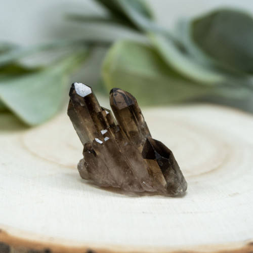 Smoky Quartz Cluster #2